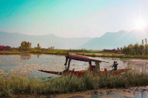 The Vintage Group Of Houseboats